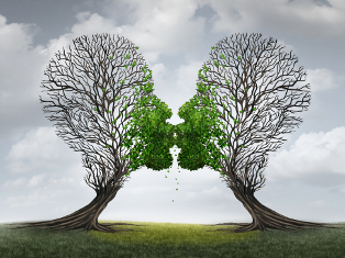 Cbt Therapy Cbttherapist