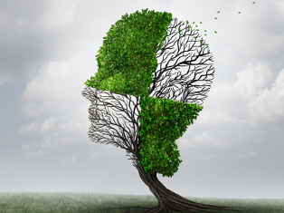 Personality Disorder Therapist Cbttherapist