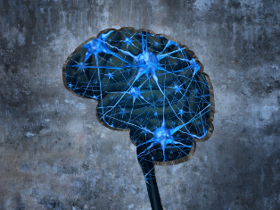 Phobia Treatment South Africa Cbttherapist